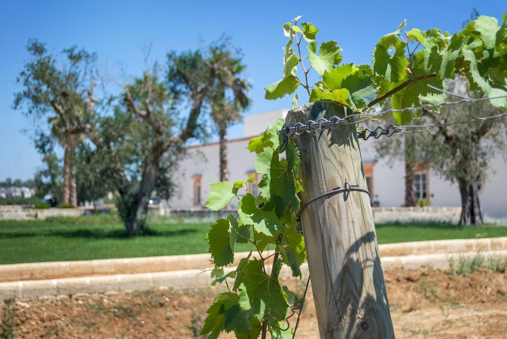 Tenuta Mose Charming House&relais * Gallipoli